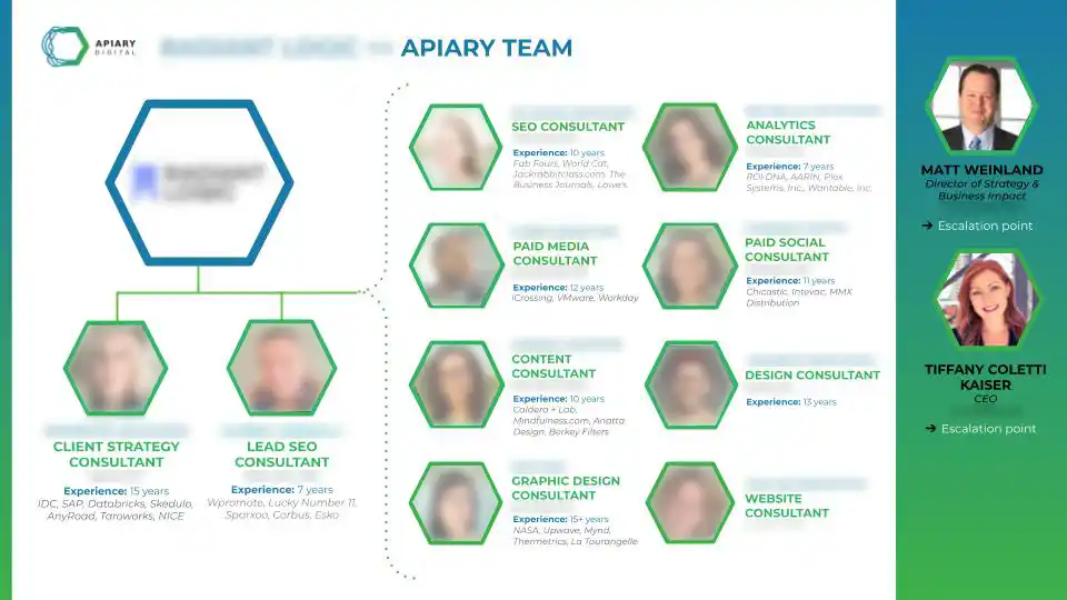 A chart breaking down the Apiary team for an example client with their roles and experience with their names and photos blurred out.