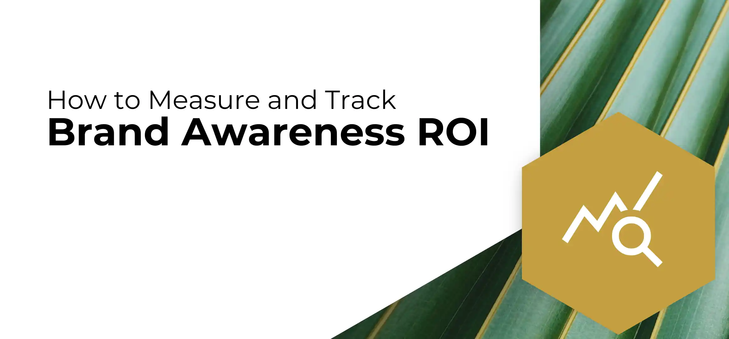 How to Measure and Track Brand Awareness ROI