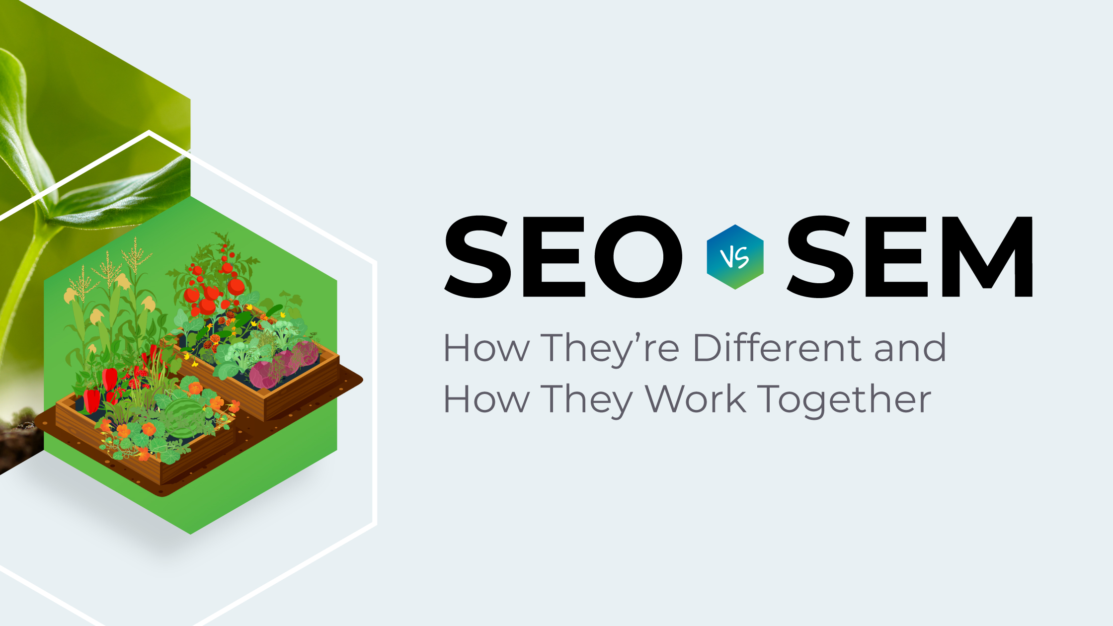 SEO vs SEM: How They’re Different & How They Work Together