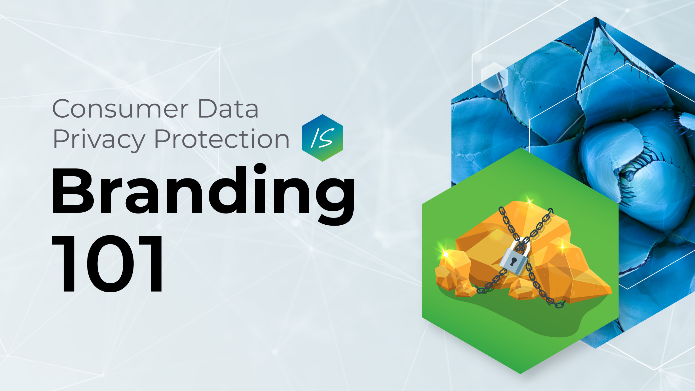 Consumer Data Privacy Protection Is Branding 101