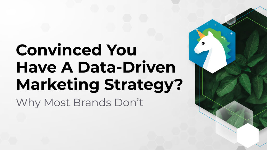 Convinced You Have A  Data-Driven Marketing Strategy