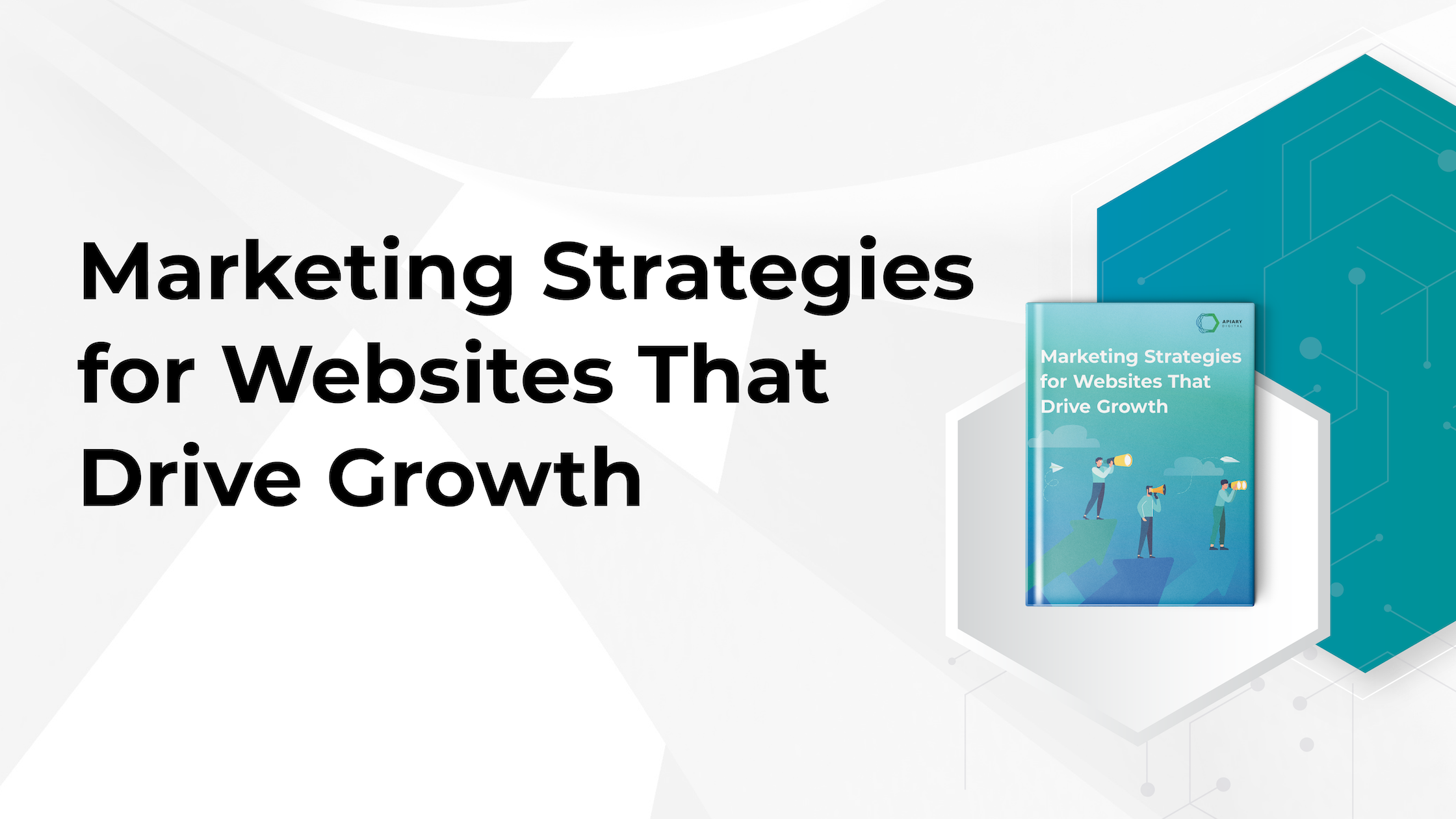 Marketing Strategies for Websites that Drive Growth eBook written by the senior marketing experts of Apiary Digital.